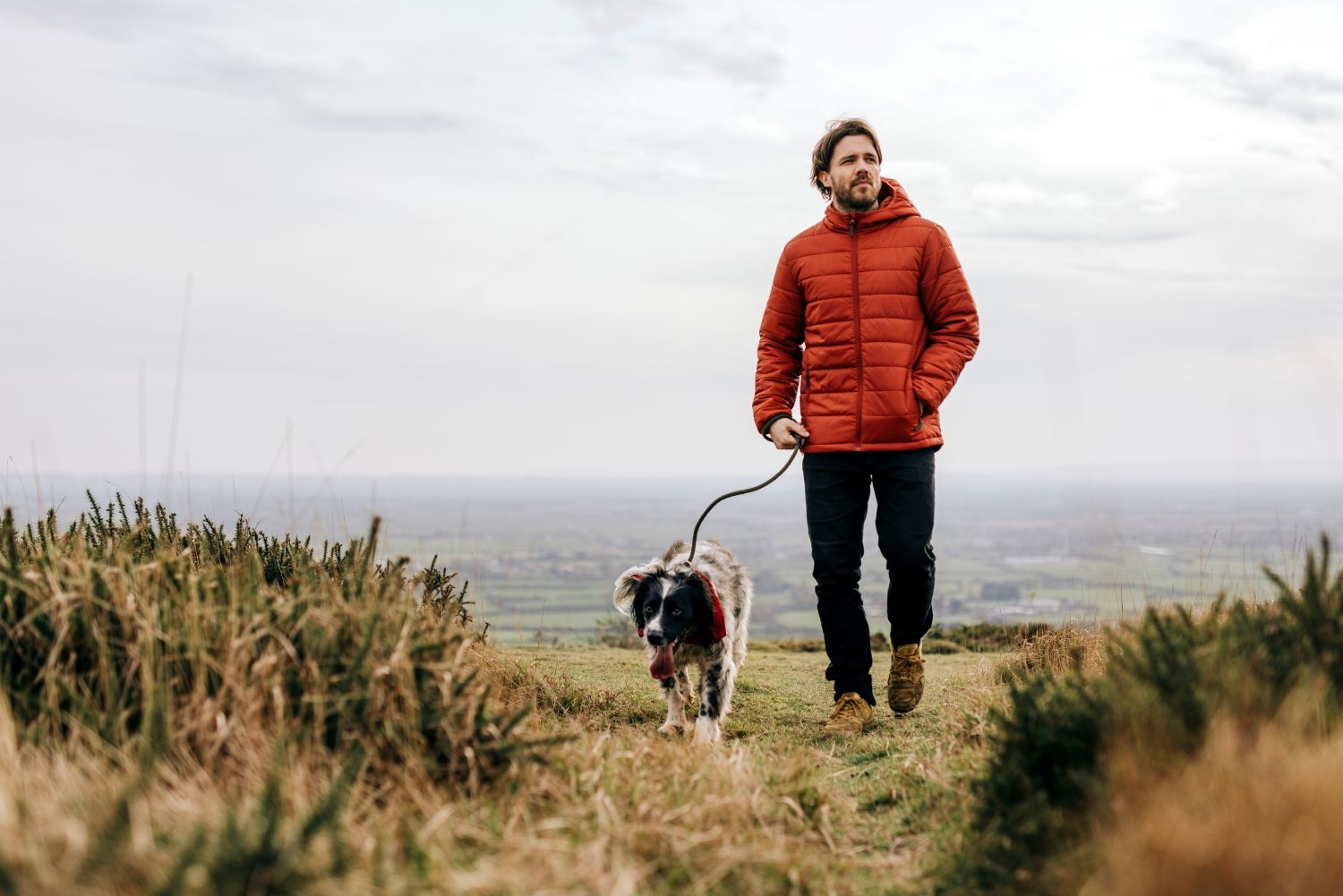 image shows a man walking a dog on a grassy hill.